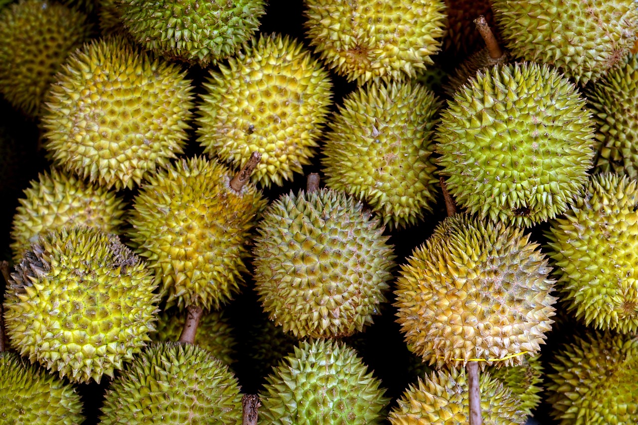Durian - The Infamous King of Fruits (Image Credits: Pixabay)