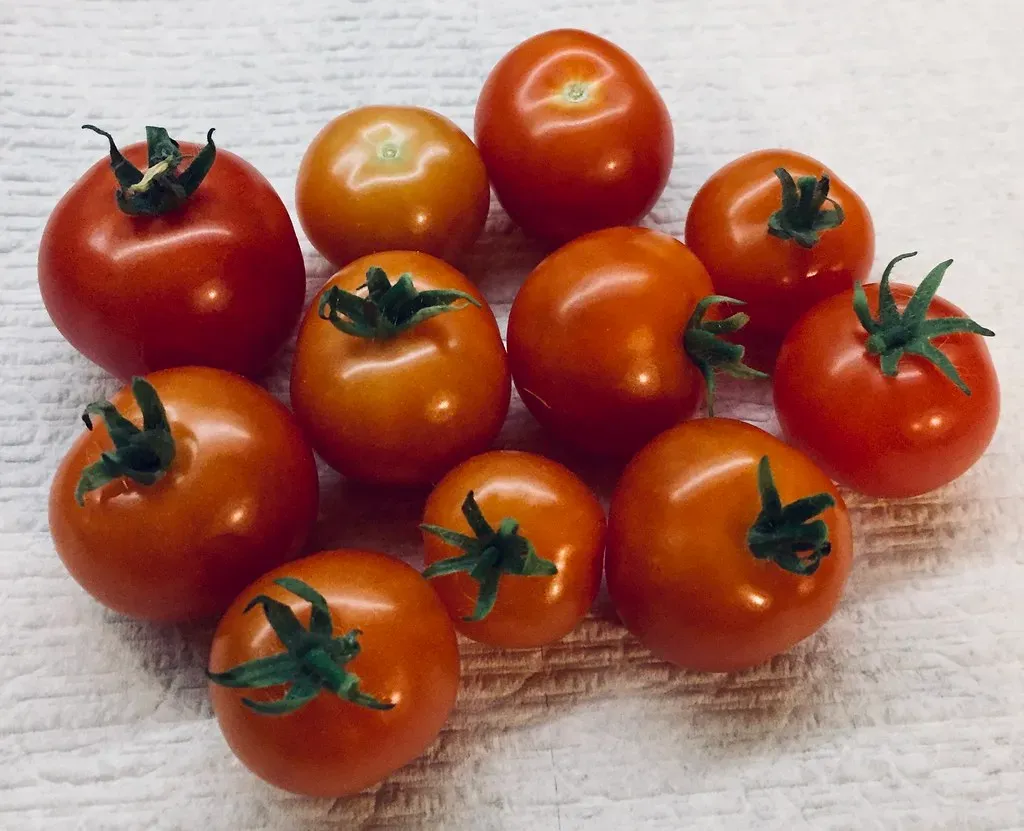 The Science Behind the Taste Trick (Actual Brian Crawford, Flickr, CC BY 2.0)