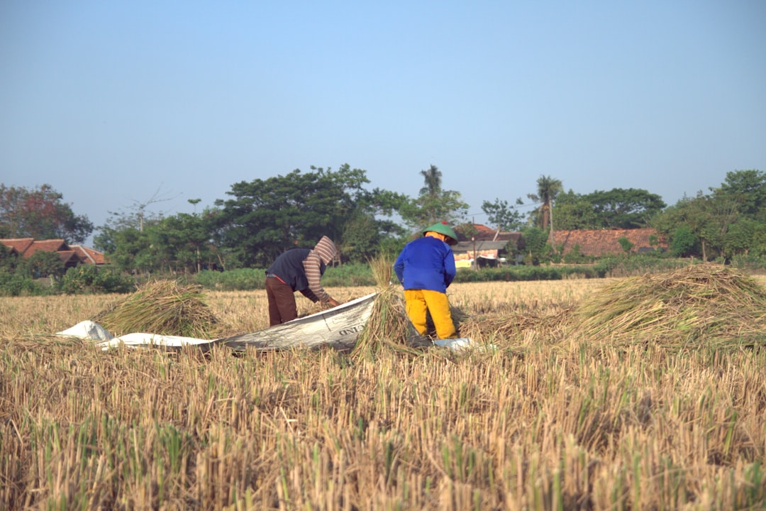 Gambia: Small Nation, Traditional Choices (Image Credits: Unsplash)