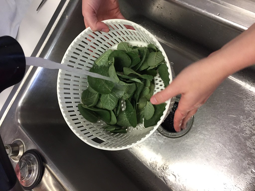 Washing and Prepping Fresh Herbs Like a Pro (image credits: flickr)