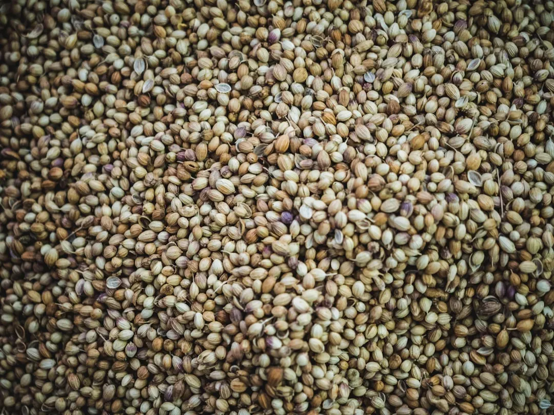 4. Hemp Seeds - Protein and Omega-3s in One Tiny Package (Image Credits: Unsplash)