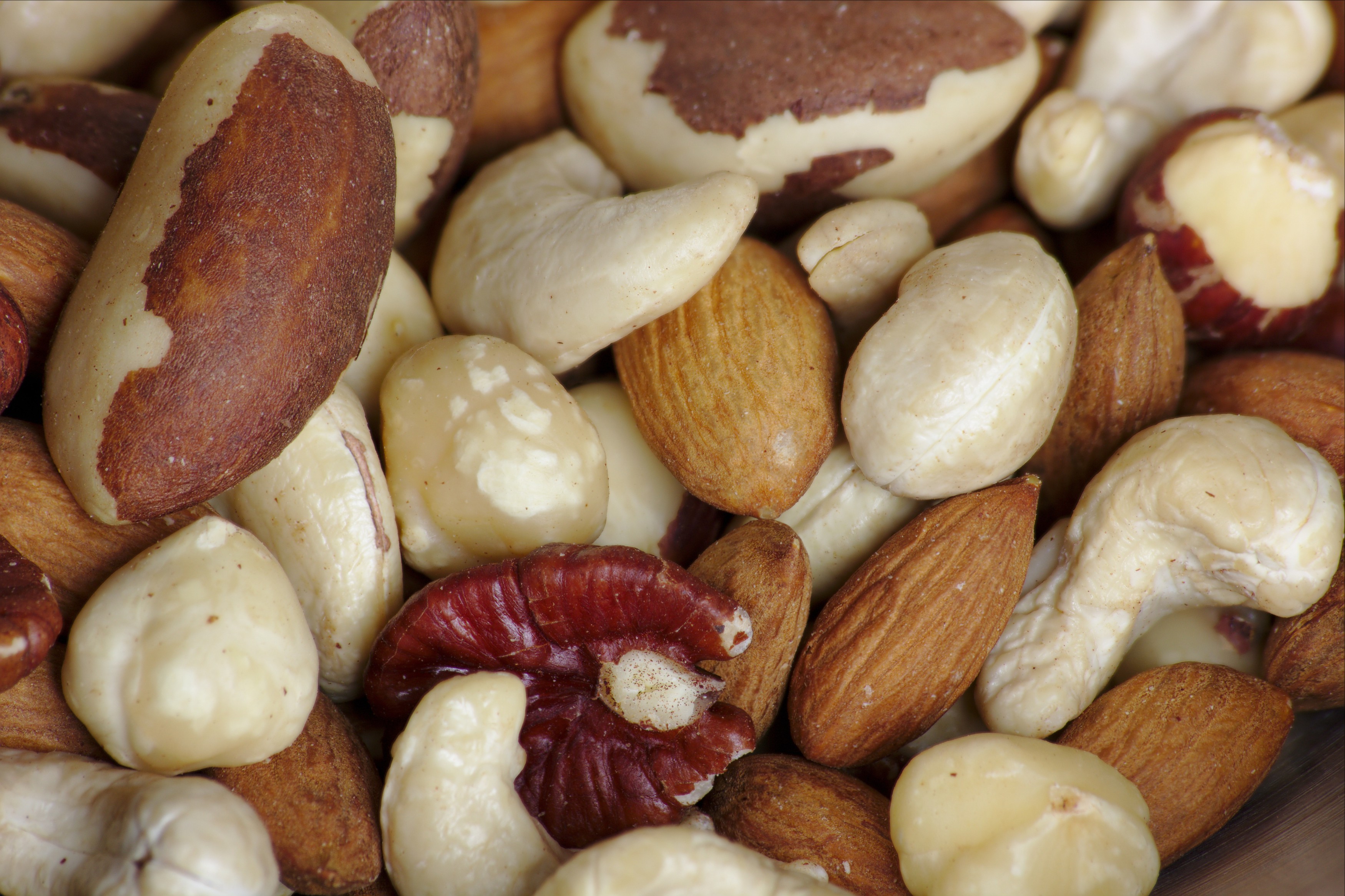Nuts and Seeds: Concentrated Nutrition Powerhouses (Image Credits: Wikimedia)