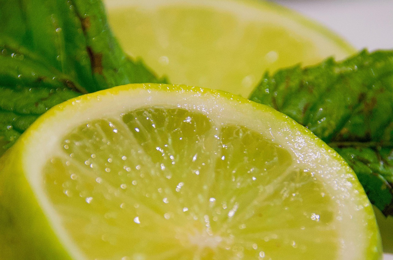 Maryland's Peppermint Stick and Lemon Combination (image credits: pixabay)