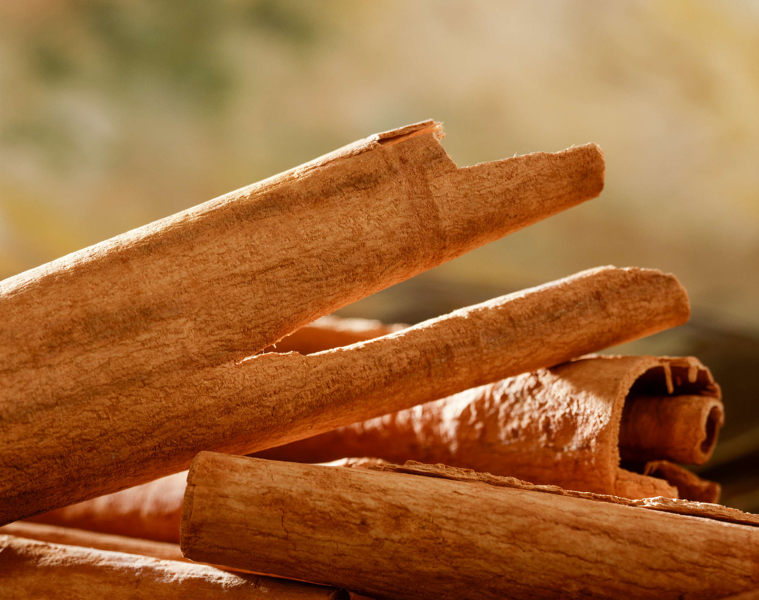 Cinnamon: A Sweet Shift to Local Production (image credits: wikimedia)