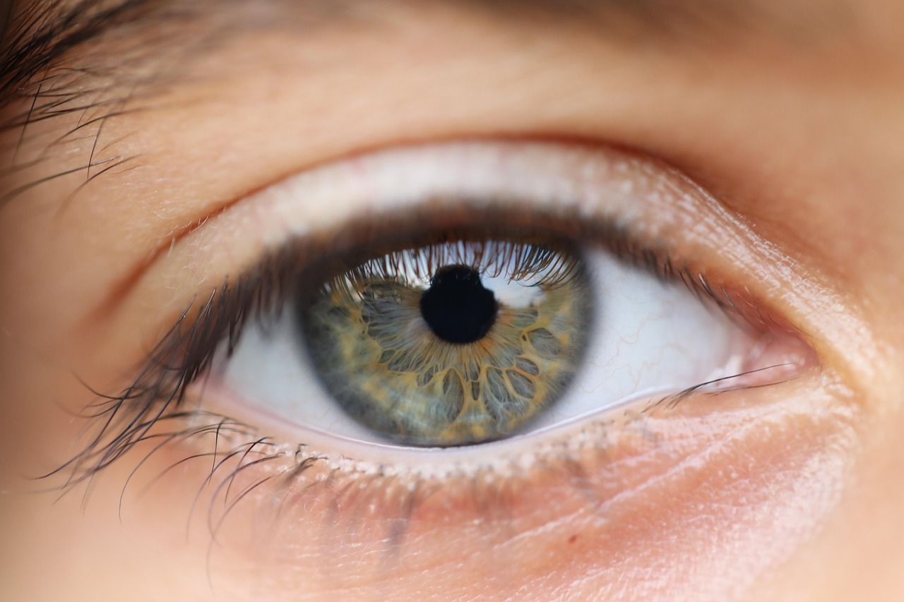 6. Vision Problems (image credits: pixabay)