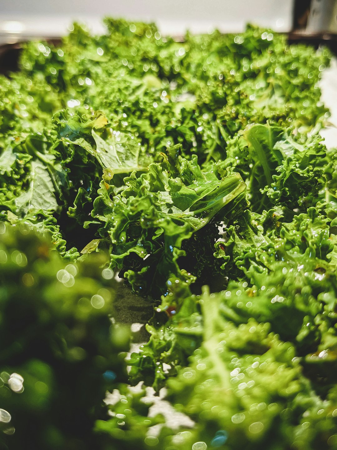 Kale: The Nutrient-Dense Superfood (image credits: unsplash)