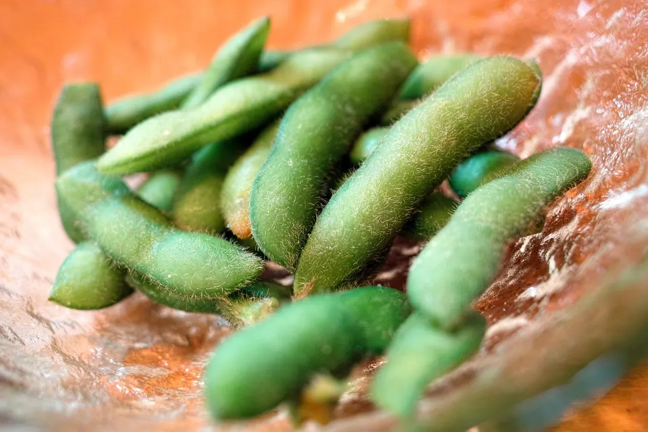 Aquarius: Edamame with Sea Salt (Image Credits: Pixabay)