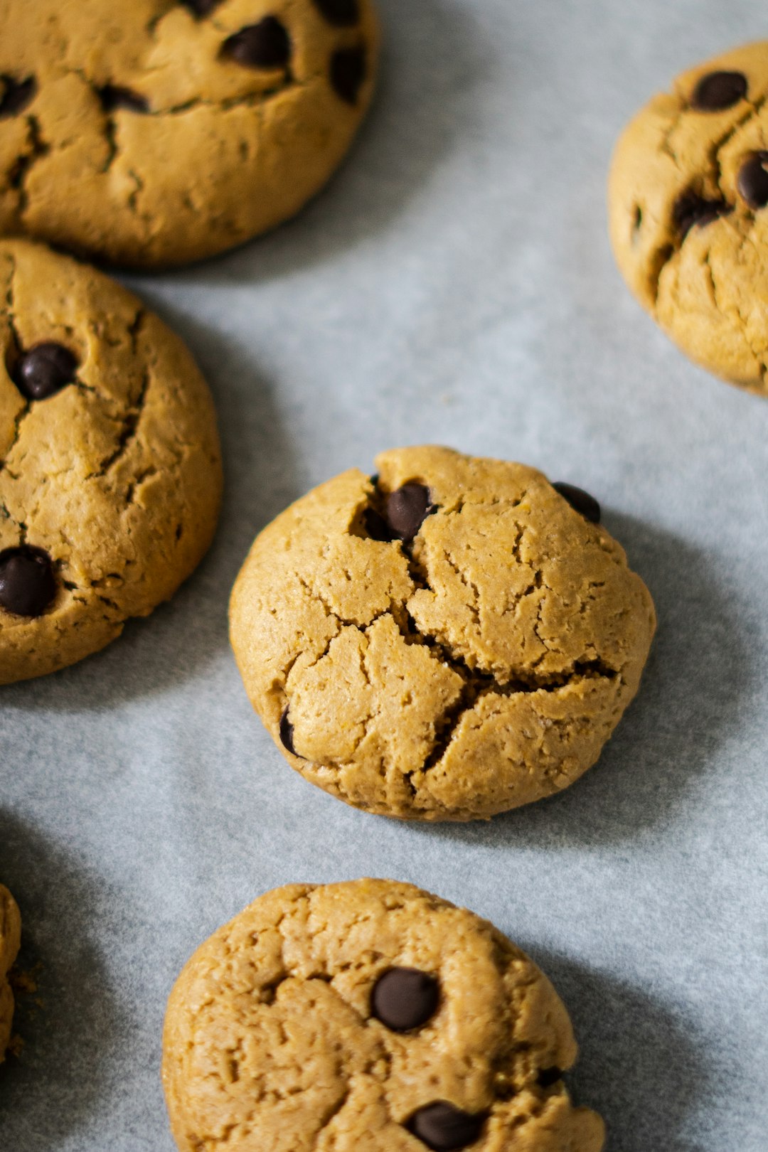 Protein Cookies (image credits: unsplash)
