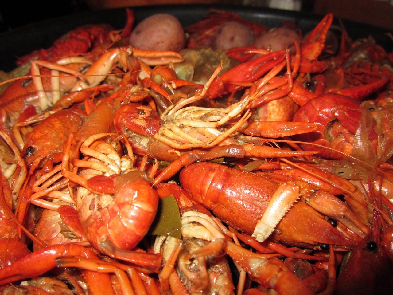 13. Seafood Boils (Image Credits: Pixabay)