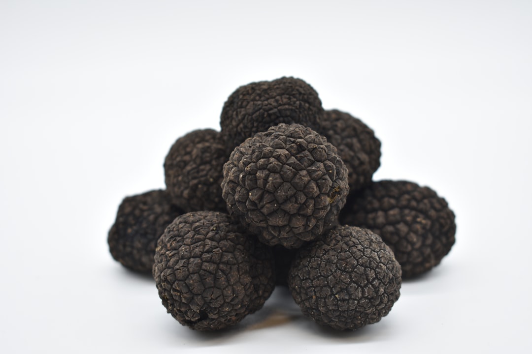 Black Truffles - The Diamonds of French Cuisine (image credits: unsplash)