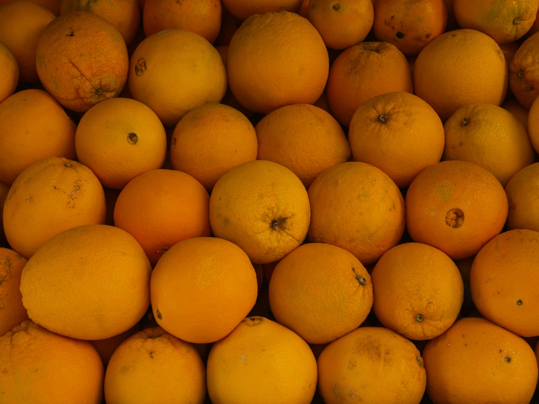 Citrus Fruits Living Their Best Storage Life (image credits: unsplash)