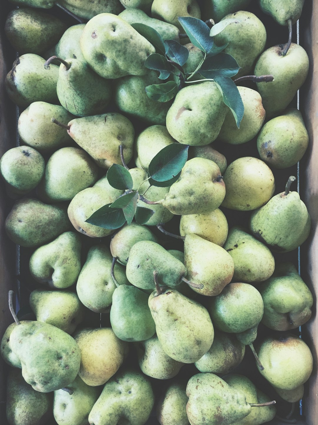 Pears: Sweet, Juicy, and Fiber-Filled (image credits: unsplash)