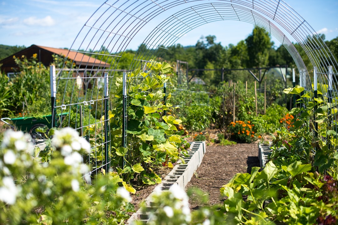 Saving Money on Fertilizer and Pesticides (image credits: unsplash)