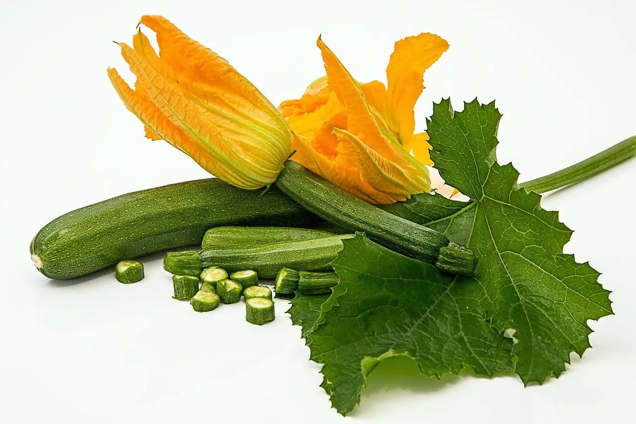 Pisces: Bianca Goriziana Zucchini (Image Credits: Pixabay)