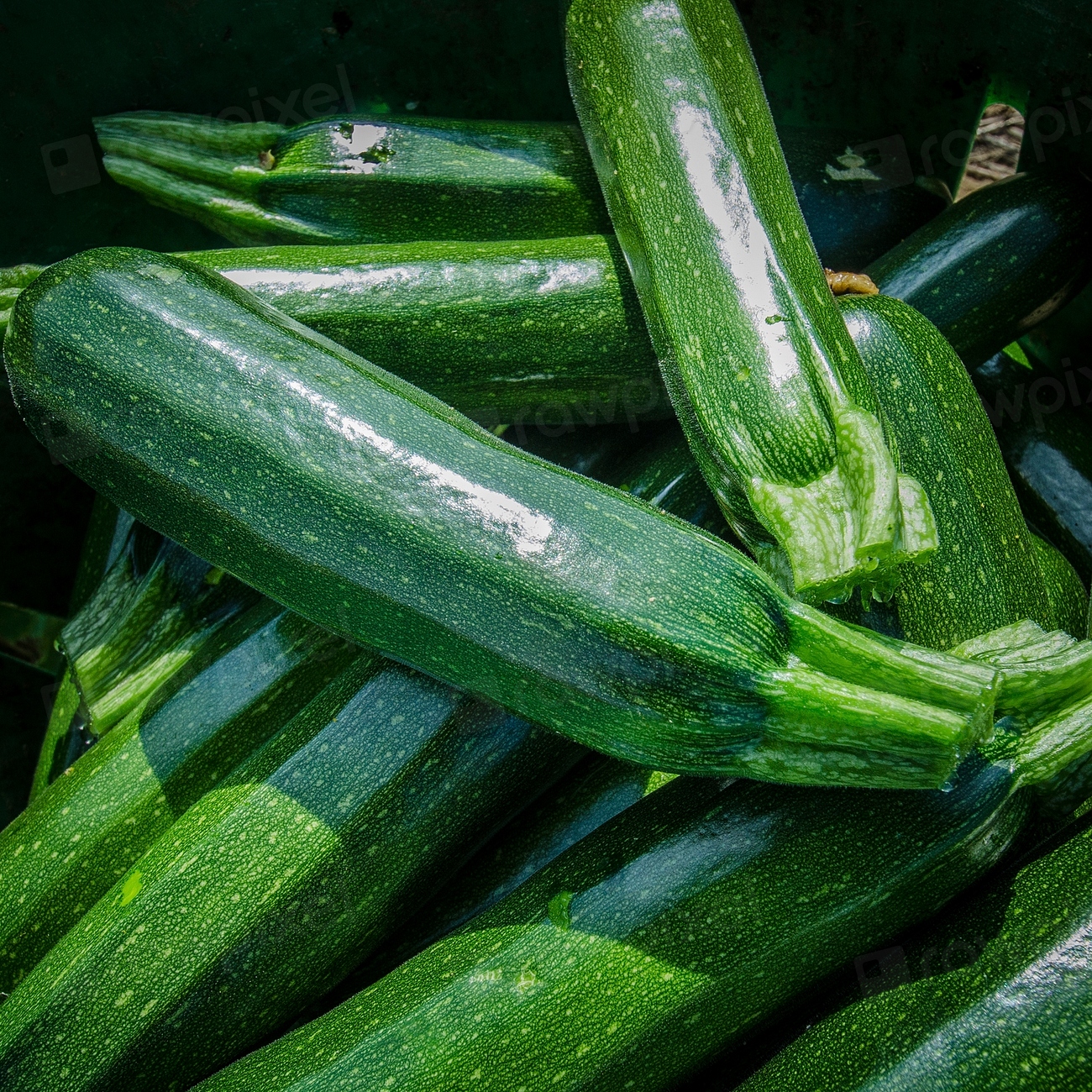 3. Zucchini: The Versatile Summer Squash (image credits: rawpixel)