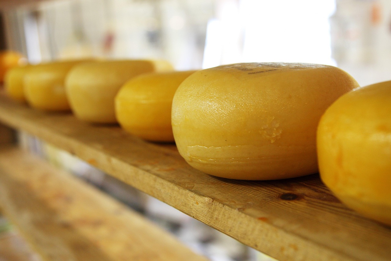 Cheese: A Dairy Dilemma (image credits: pixabay)
