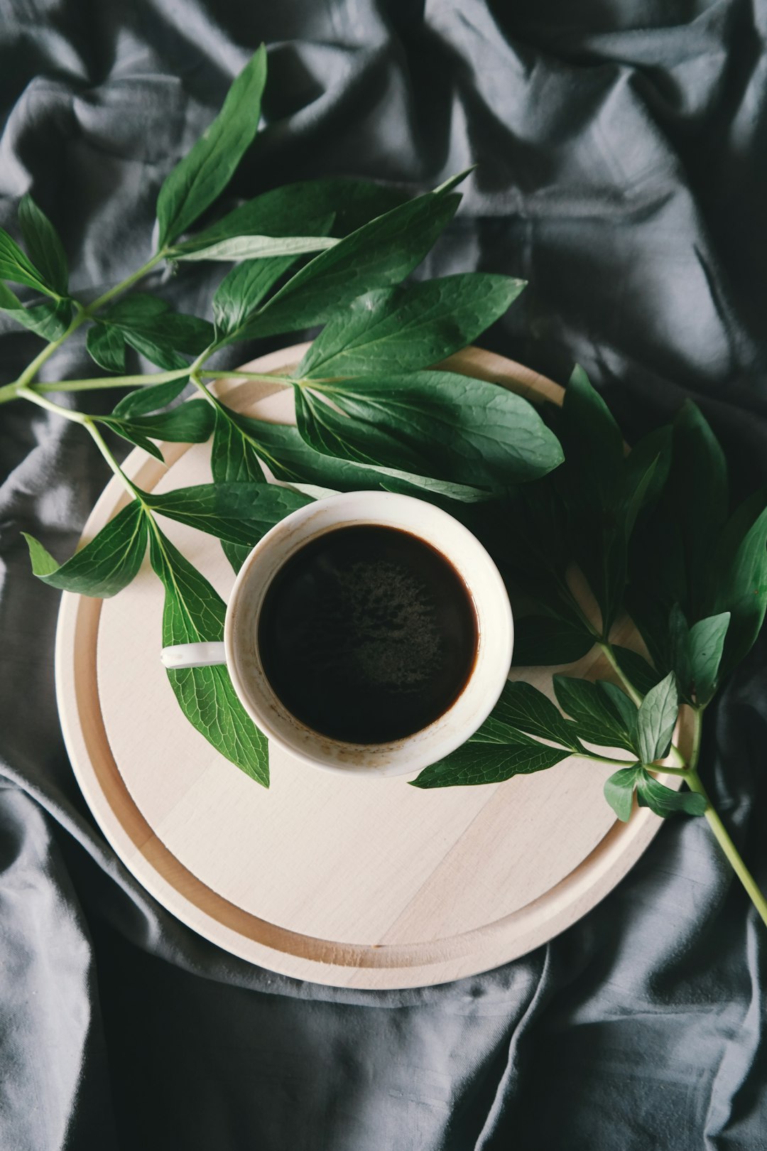 Green Tea: Cellular Rejuvenator 🍵 (image credits: unsplash)