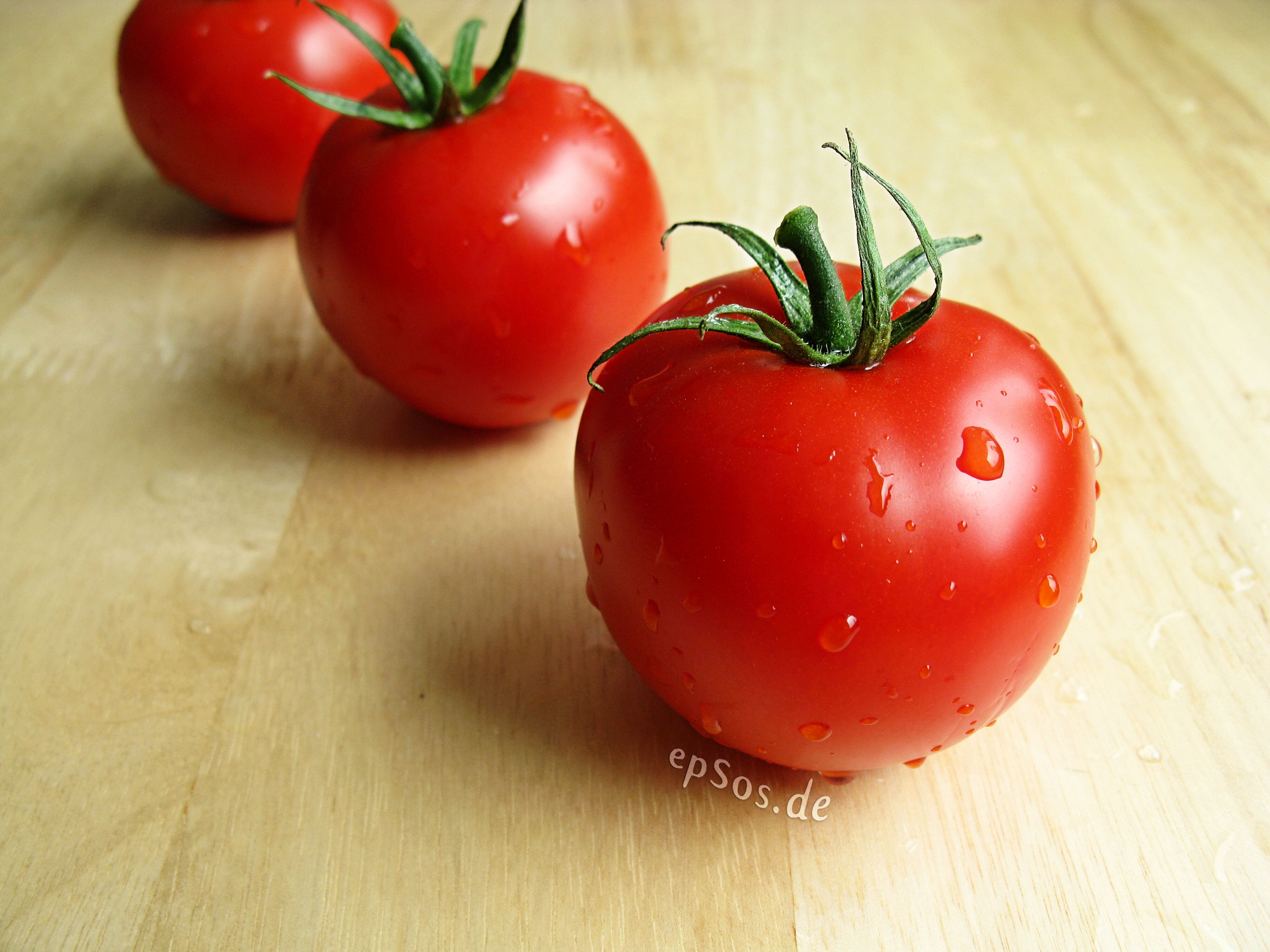 The Flavor Revolution in Your Mouth (image credits: wikimedia)
