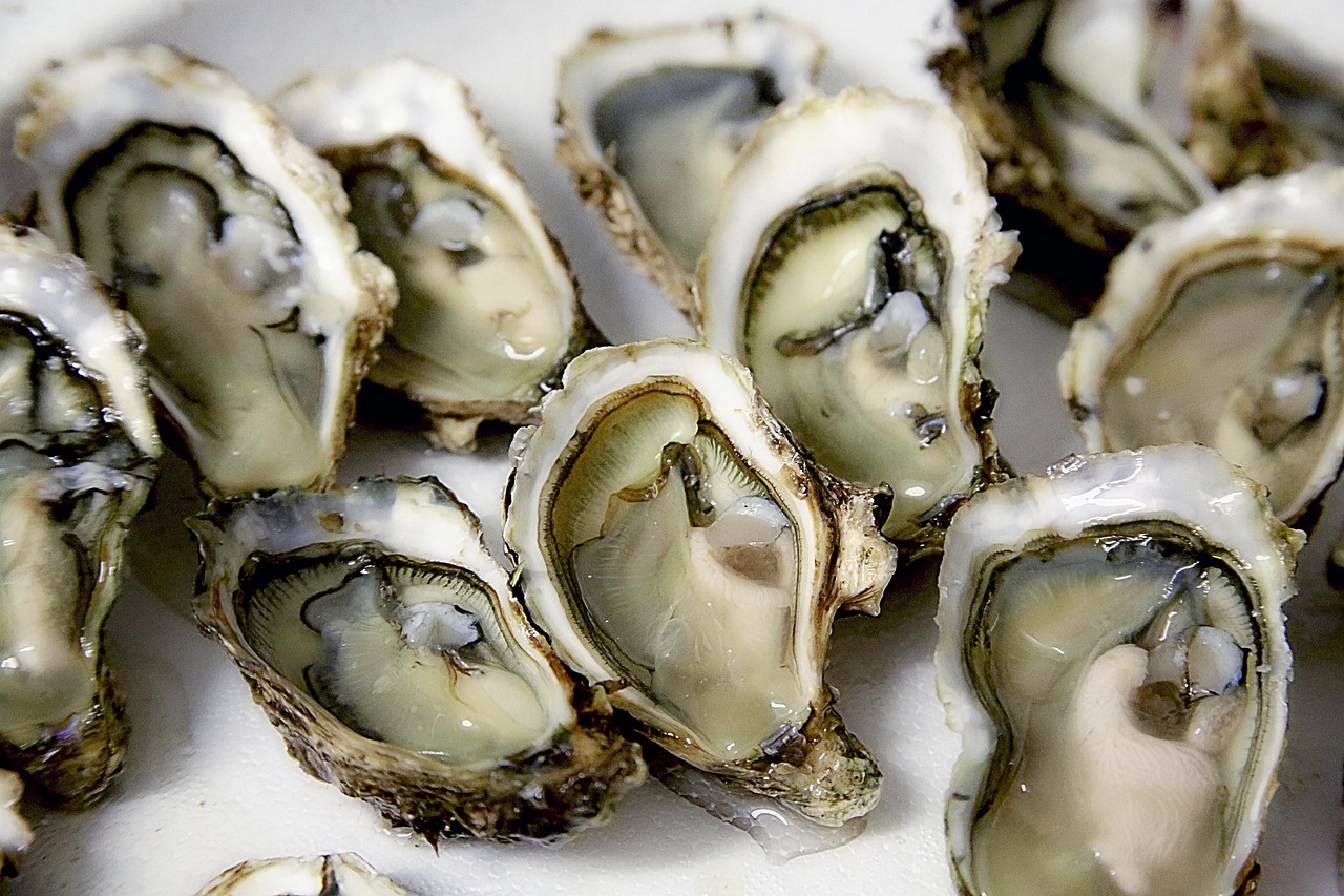 Oysters: The Ultimate Zinc Superstars (image credits: pixabay)