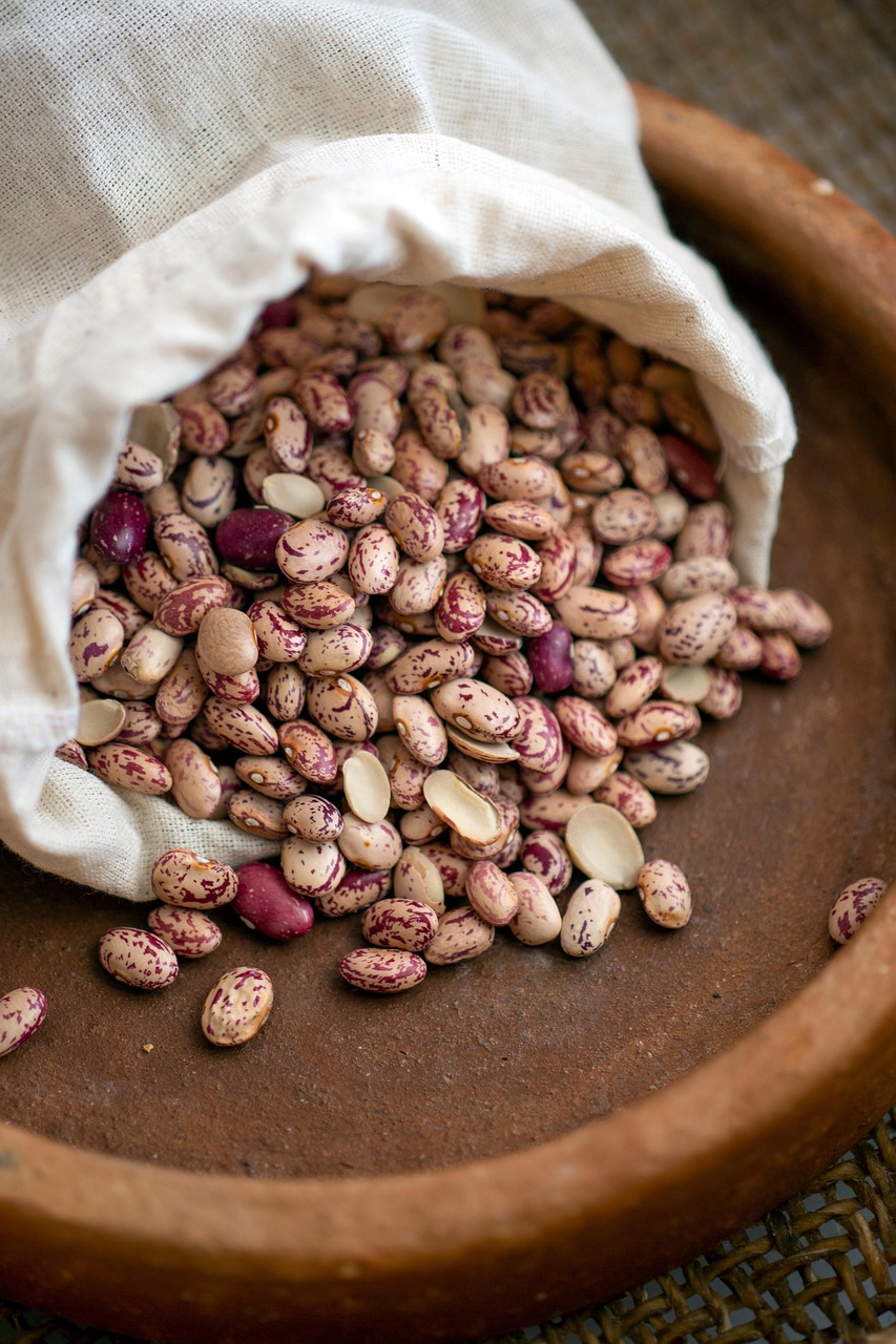 Beans: Plant-Based Nutrition That Lowers Risk Markers Rapidly (image credits: pixabay)