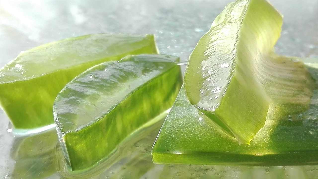 Aloe Vera: The Soothing Succulent (image credits: pixabay)