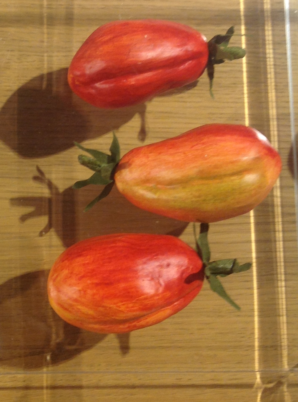 Speckled Roman Tomatoes: Italian Heritage in American Gardens (Image Credits: Wikimedia)