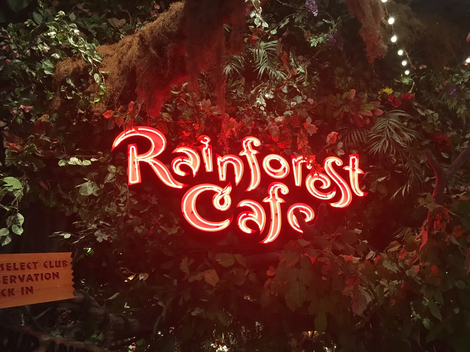 2. Rainforest Cafe - Atmosphere Over Everything (By Joetregembo, CC BY-SA 4.0)