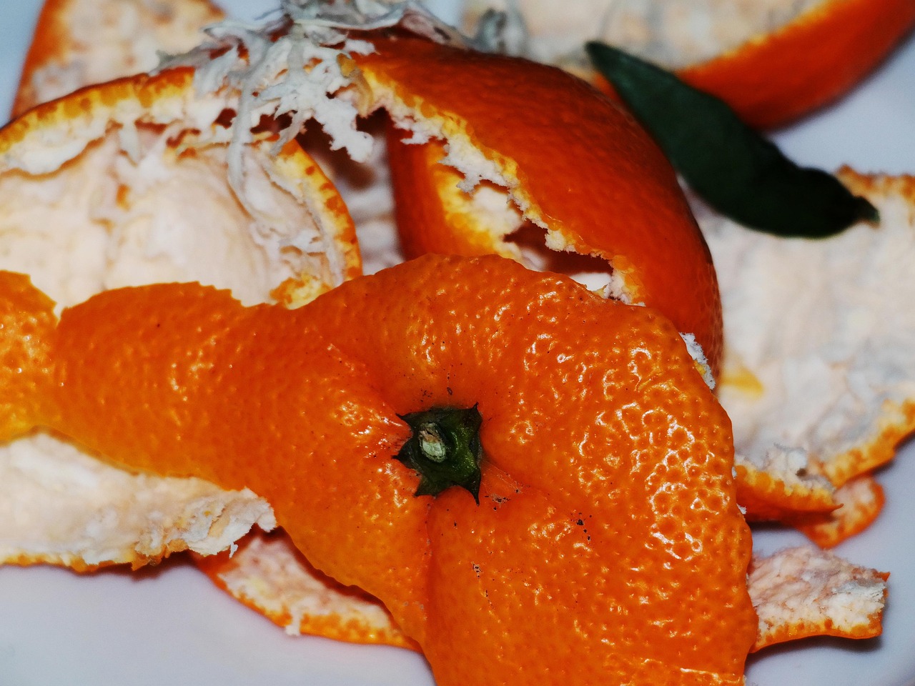 Oranges: The Whole Fruit Advantage You Can Taste (image credits: pixabay)