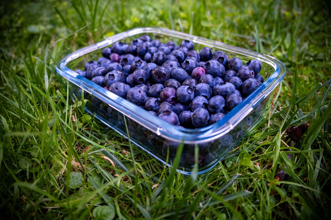 Berries: Nature's Candy That Won't Sabotage Your Goals (image credits: unsplash)