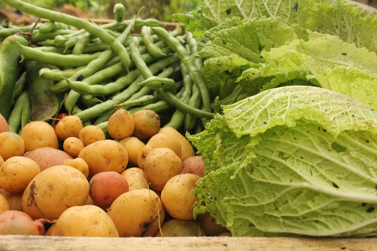 The Solanine Risk: When Poor Storage Becomes a Safety Issue (Image Credits: Pixabay)