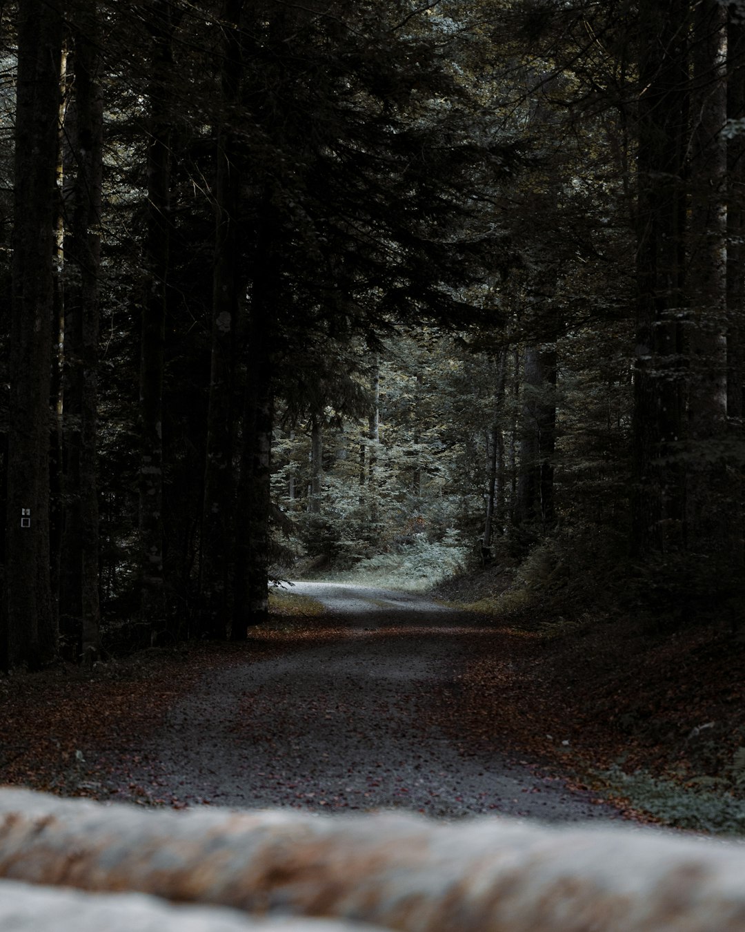 Conclusion: A Journey Worth Taking (image credits: unsplash)