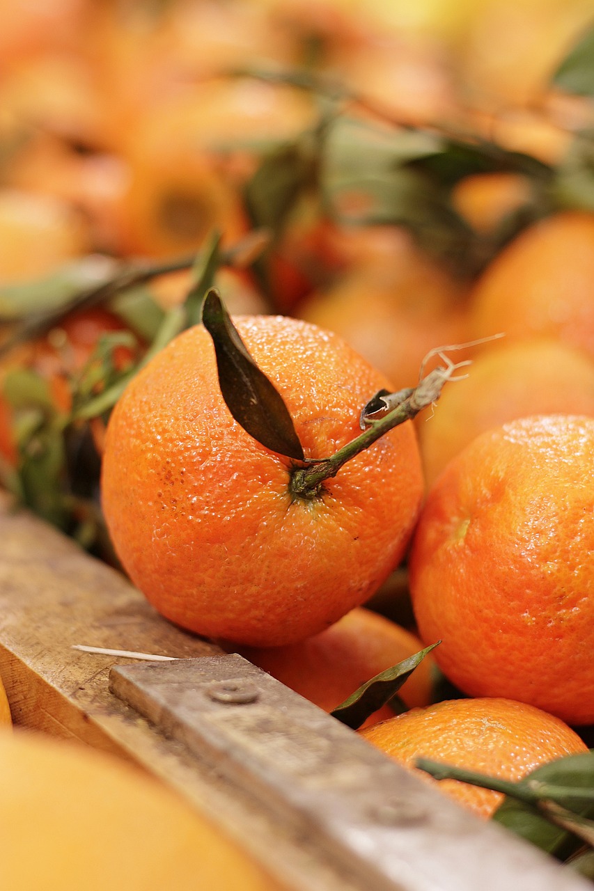 Oranges: Citrus with a Sweet Side (image credits: pixabay)