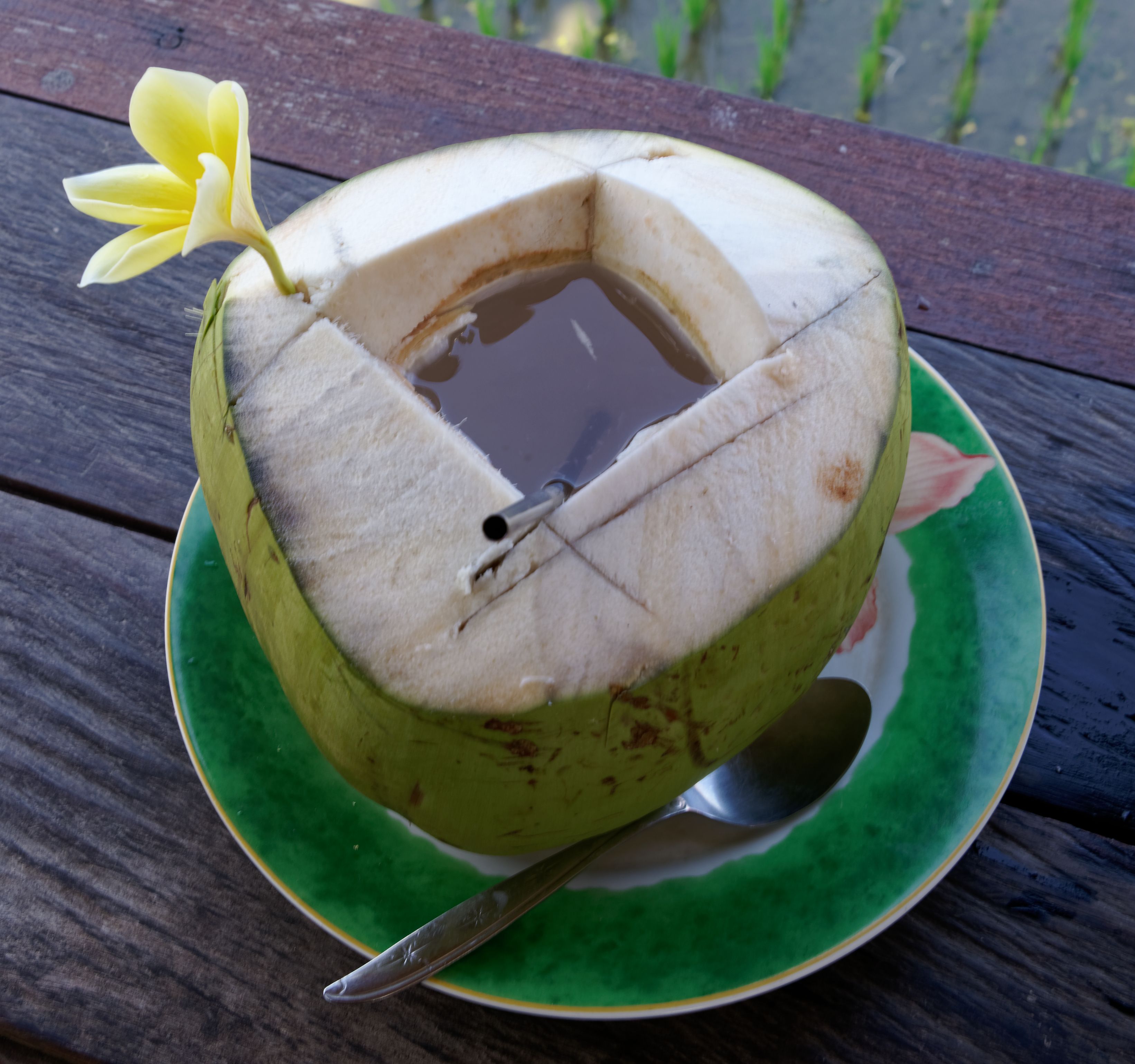 Coconut Water: Nature's Electrolyte Drink at 95% Water (image credits: wikimedia)