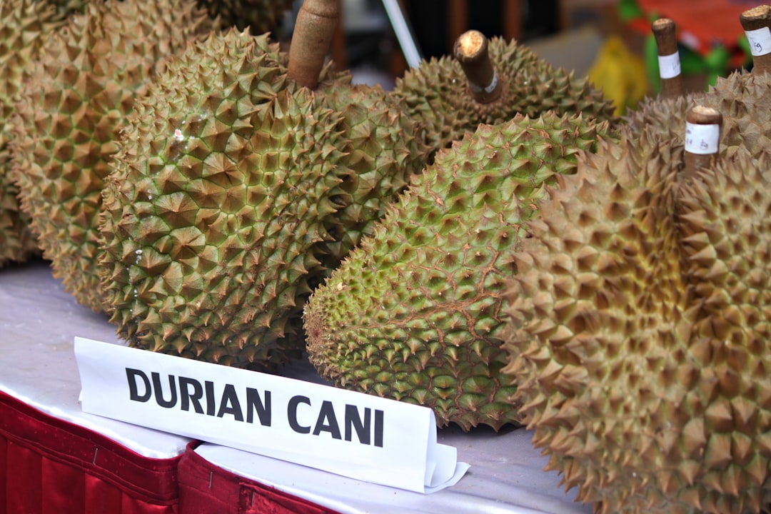 The Secret Life of Durian's Internal Structure (image credits: unsplash)