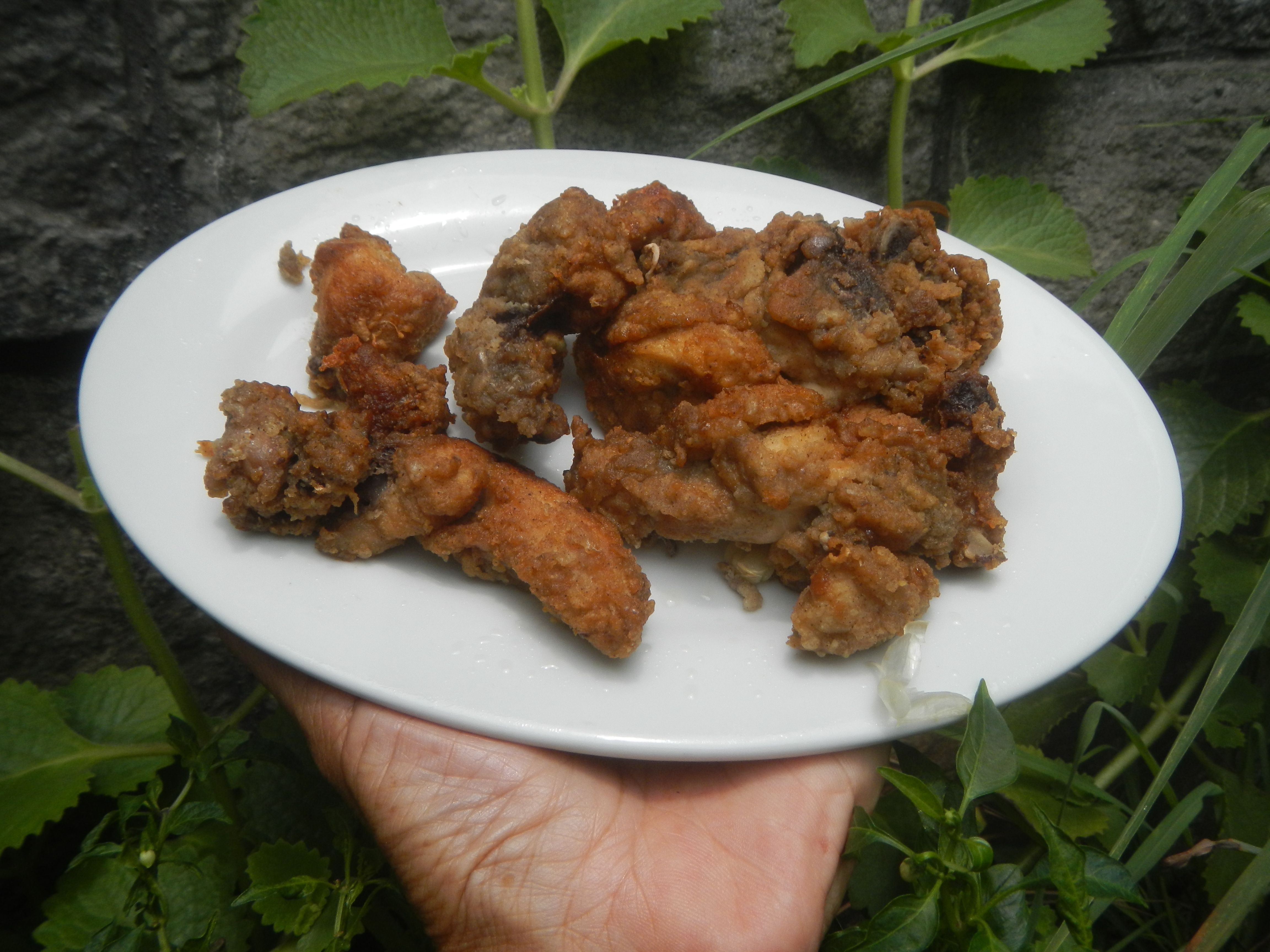 Crunchy Delights: The Texture Revolution (image credits: wikimedia)