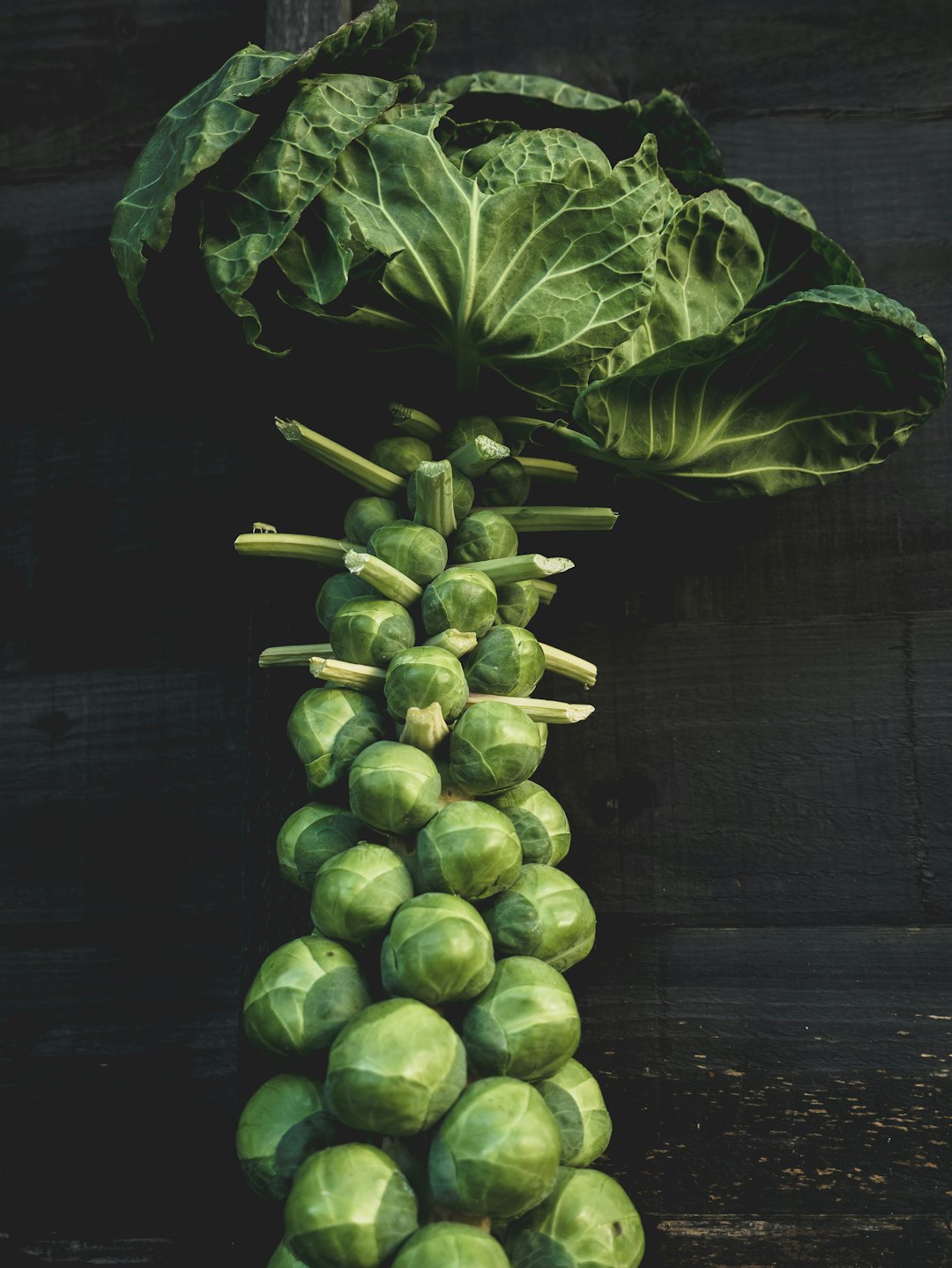 Brussels Sprouts: Tiny Cabbages with Big Benefits (image credits: unsplash)