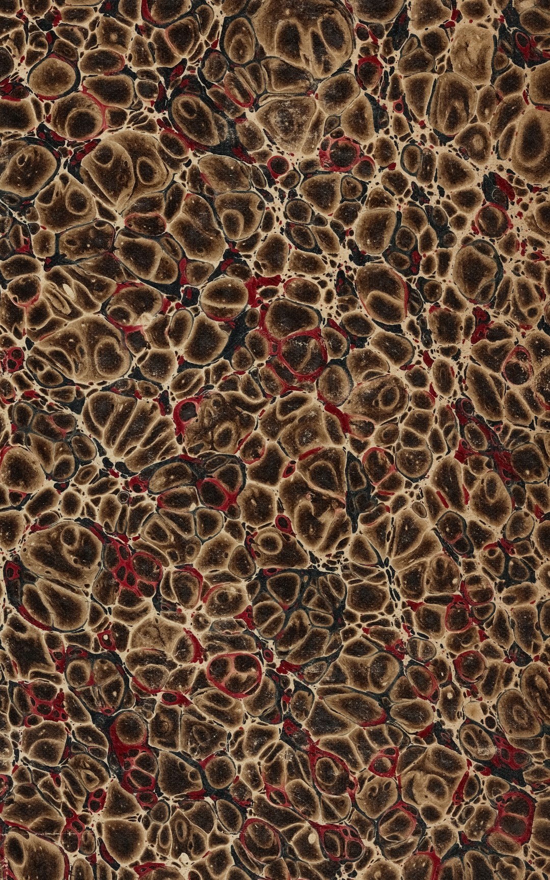 1. Understanding Inflammation: The Body's Double-Edged Sword (image credits: unsplash)