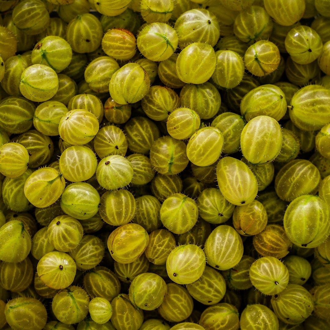 7. Gooseberries: The Tart Berries (image credits: unsplash)