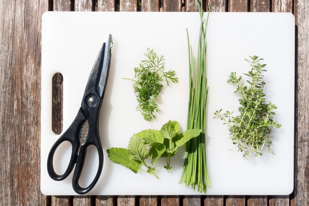 10. Herb Scissors (image credits: rawpixel)