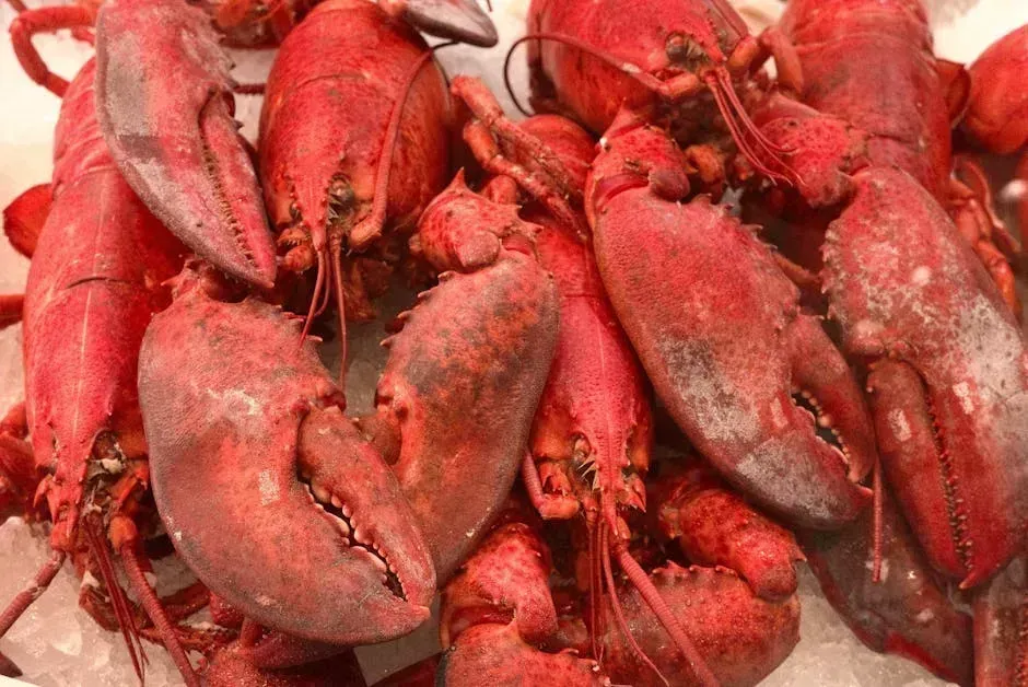 6. The Lobster When Prices Are Surging (Image Credits: Pexels)