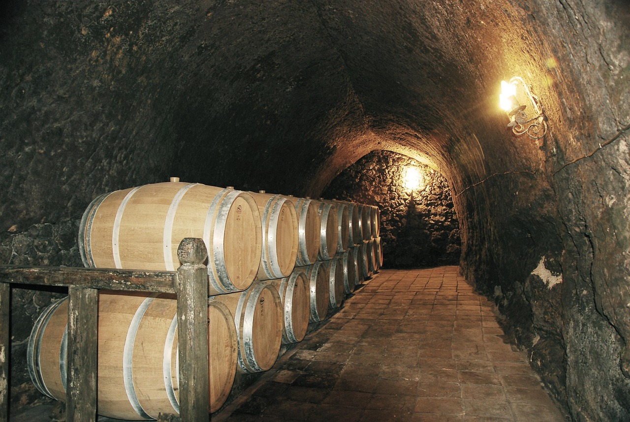 Today's Monastic Wineries Fight to Survive (image credits: pixabay)