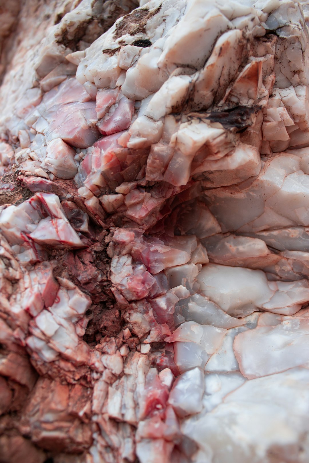 Raw Ground Meat: A Bacterial Breeding Ground (image credits: unsplash)