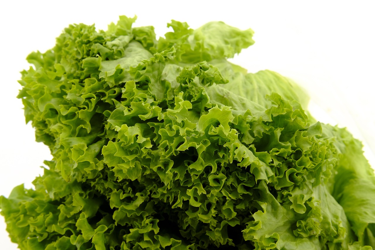 Leafy Greens: When Healthy Becomes Hazardous (image credits: pixabay)