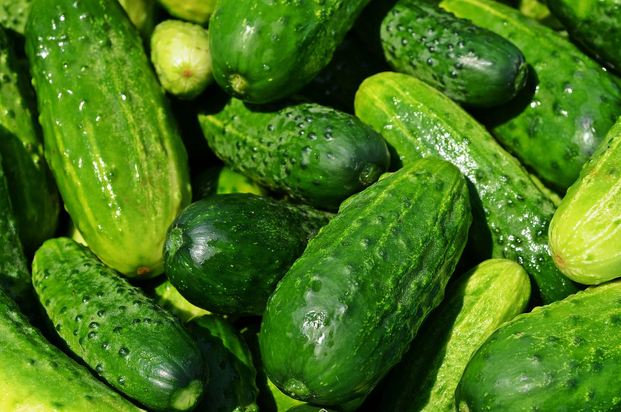 2. Cucumber: Crisp and Refreshing, but Mild (image credits: pixabay)