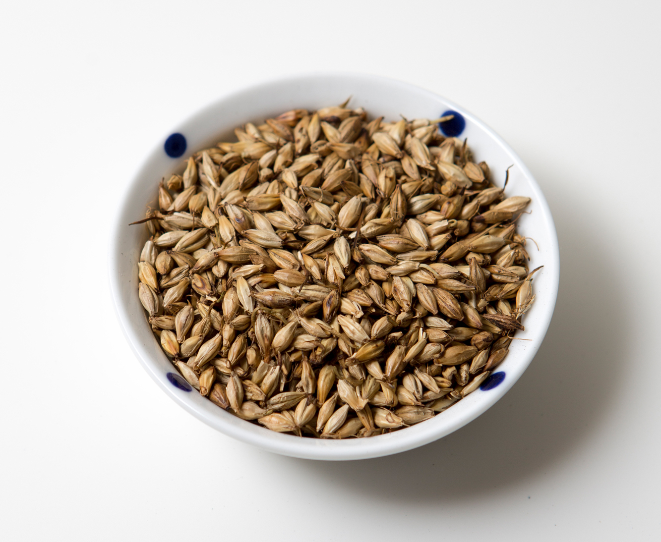Barley: The Forgotten Cholesterol Fighter (image credits: wikimedia)