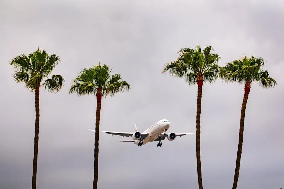 8. Los Angeles International Airport (LAX) - Pricing Caps? What Caps? (Image Credits: Pexels)