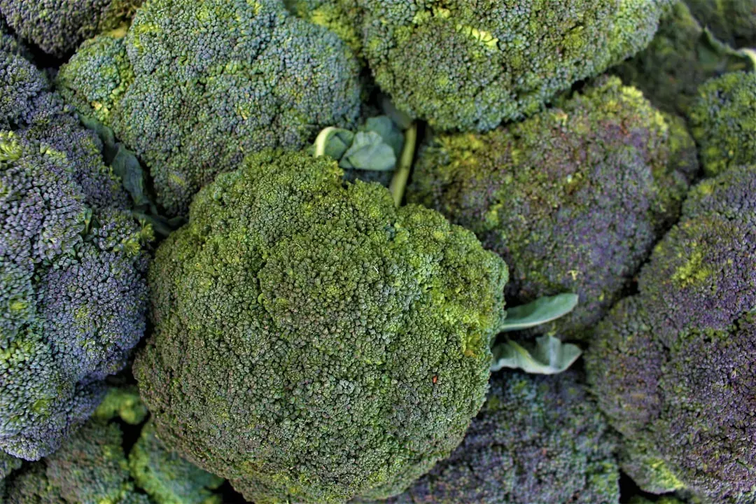 Food #2: Cruciferous Vegetables (Broccoli, Brussels Sprouts, Cauliflower) (Image Credits: Unsplash)