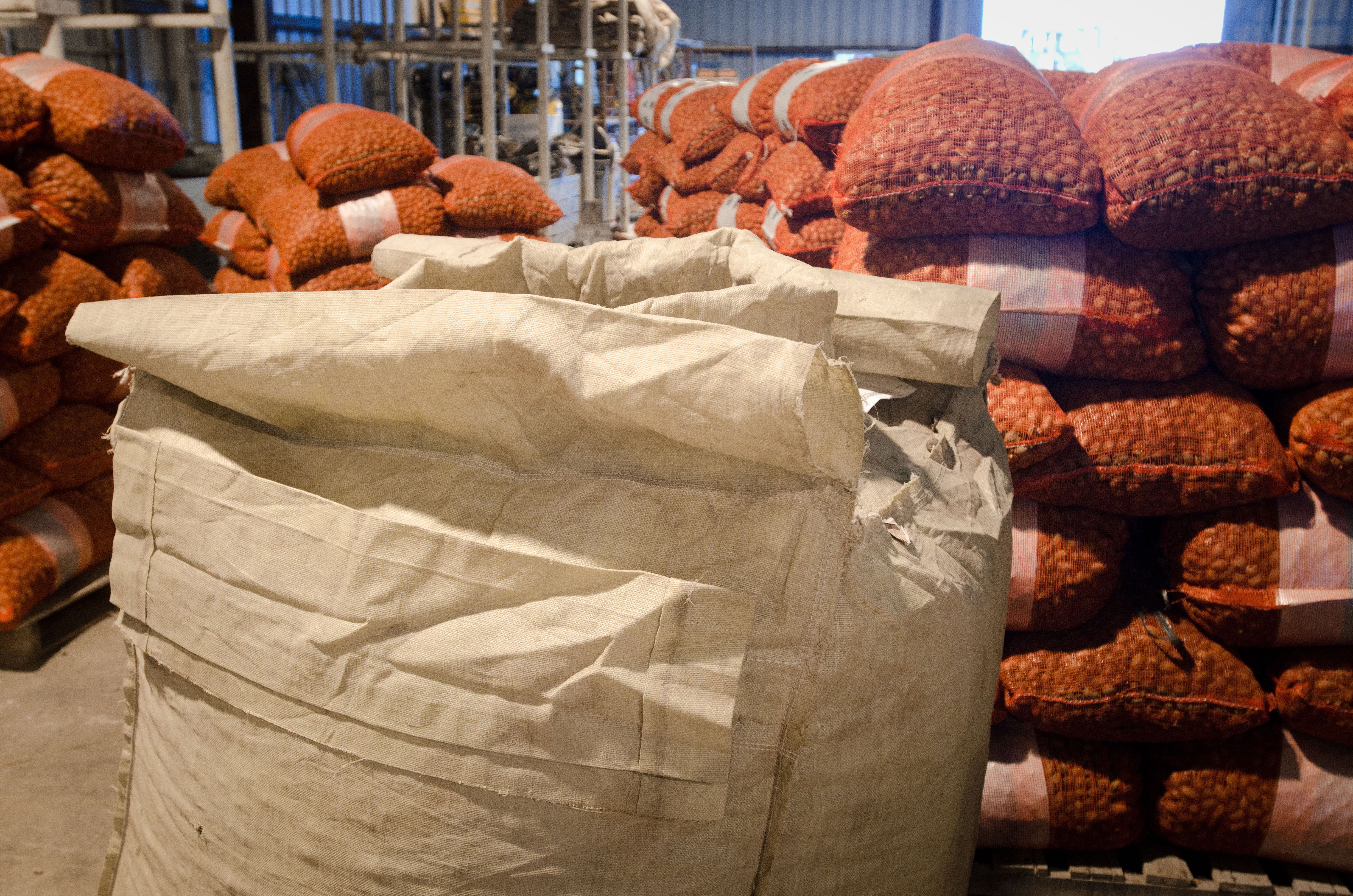 Export Markets Diversify Beyond China (image credits: wikimedia)