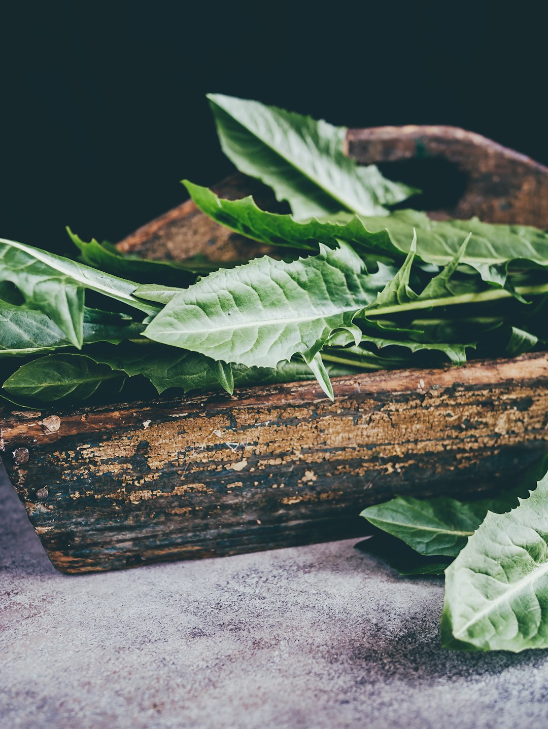 8. Dandelion Greens: Wild and Wonderfully Nutritious (image credits: unsplash)