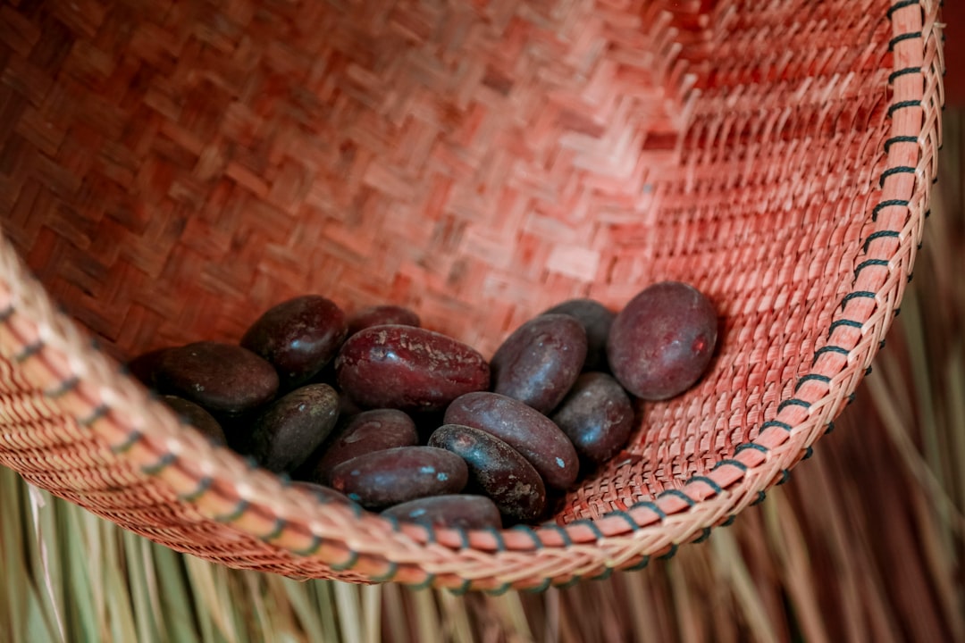 West Africa: The Heart of Cocoa Production (image credits: unsplash)